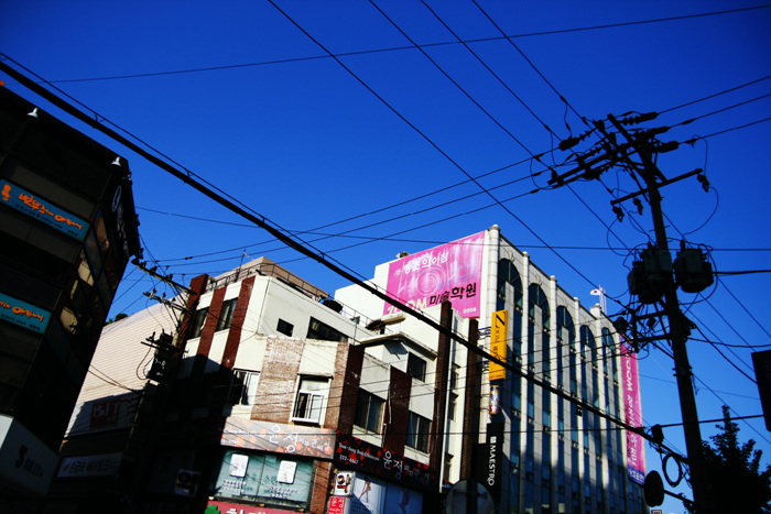 사용자 삽입 이미지